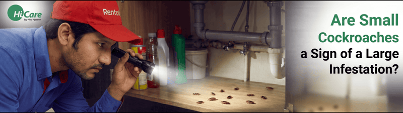 Are Small Cockroaches a Sign of a Large Infestation?