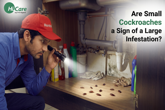 Are Small Cockroaches a Sign of a Large Infestation
