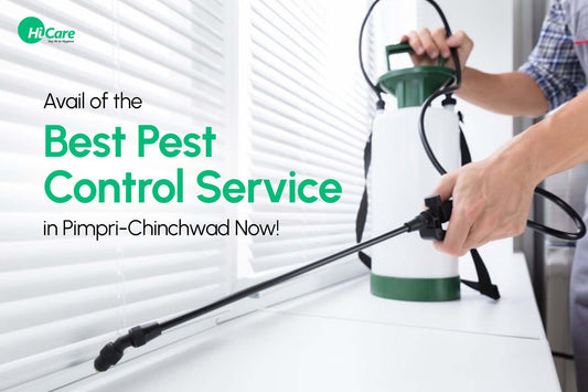 Avail of the Best Pest Control Services in Pimpri-Chinchwad Now!