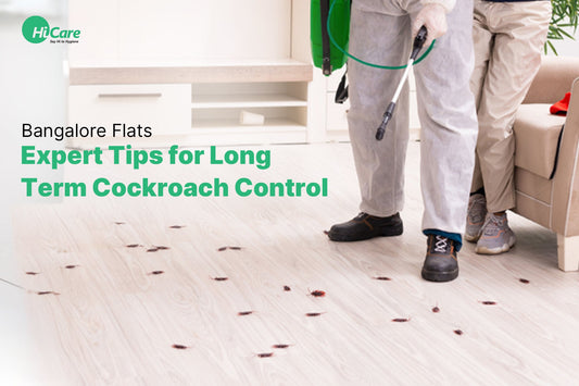 Bangalore Flats: Expert Tips for Long-Term Cockroach Control