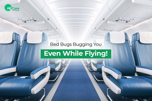 Bed Bugs Bugging You Even While Flying!