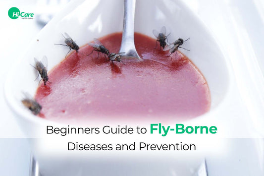 Beginners Guide to Fly Borne Diseases and Prevention