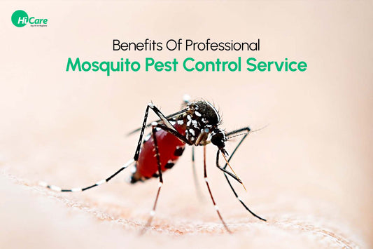 Benefits Of Professional Mosquito Pest Control Service