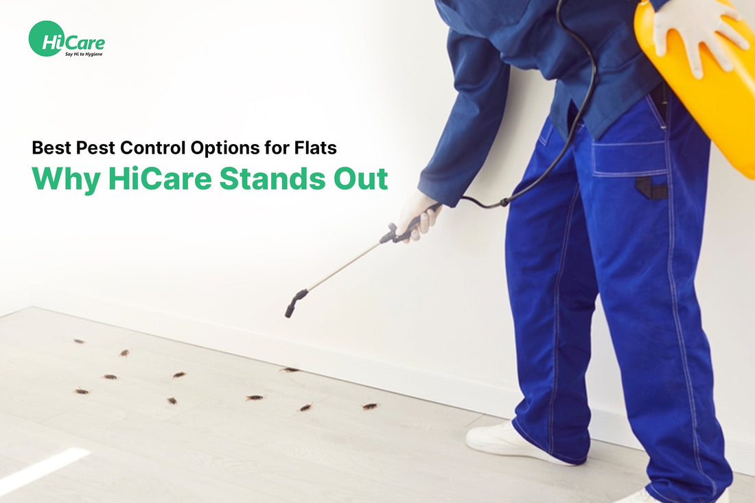 Best Pest Control Options for Flats: Why HiCare Stands Out