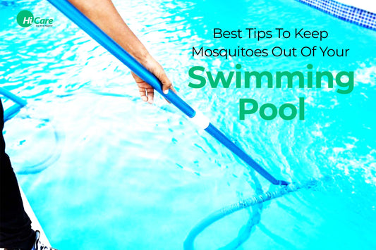 10 Best Tips to Keep Mosquitoes Out of Your Swimming Pool