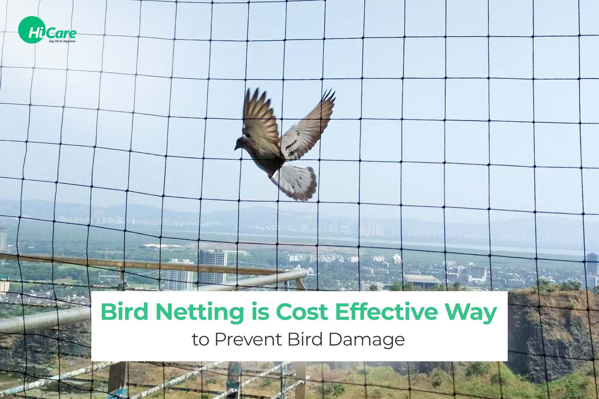Avoid Insert Net Bird Netting: How to Keep Birds Away Effectively | HiCare – HiCare (A ...