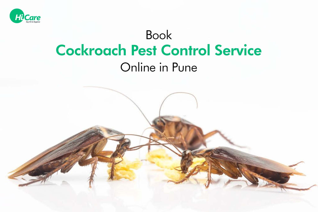 Book Cockroach Pest Control Service Online in Pune