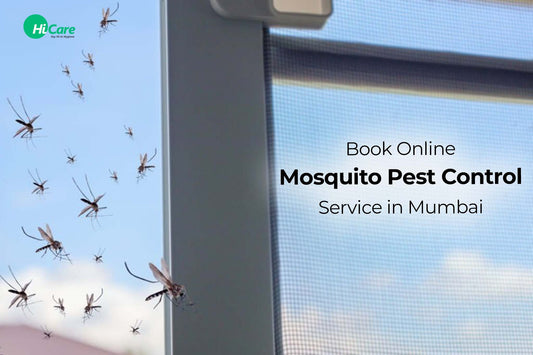 Book Online Mosquito Pest Control Service in Mumbai