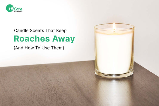 10 Candle Scents That Keep Roaches Away (And How To Use Them)