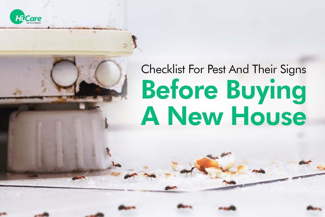 Checklist For Pest And Their Signs Before Buying A New House