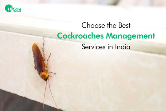 Choose the Best Cockroaches Management Services in India