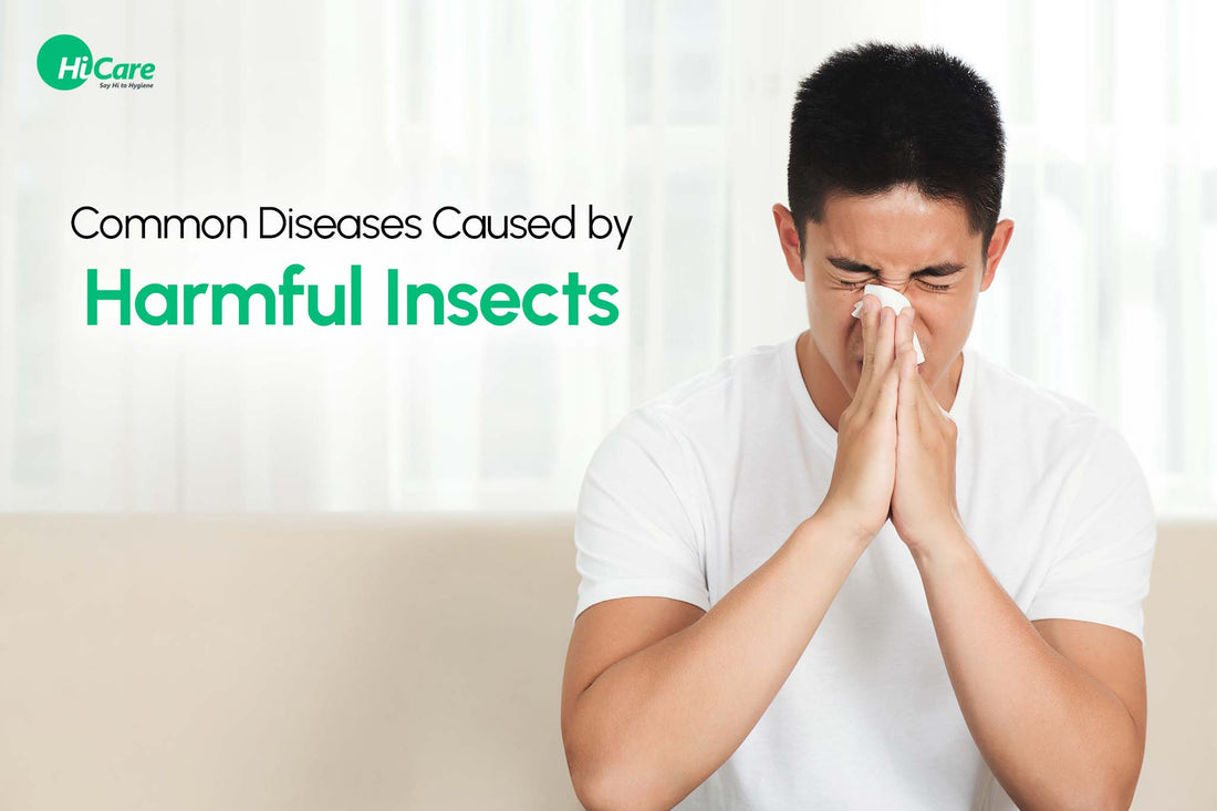 Health Risks From Insects 9 Common Diseases Caused by Harmful Insects | HiCare – HiCare (A ...