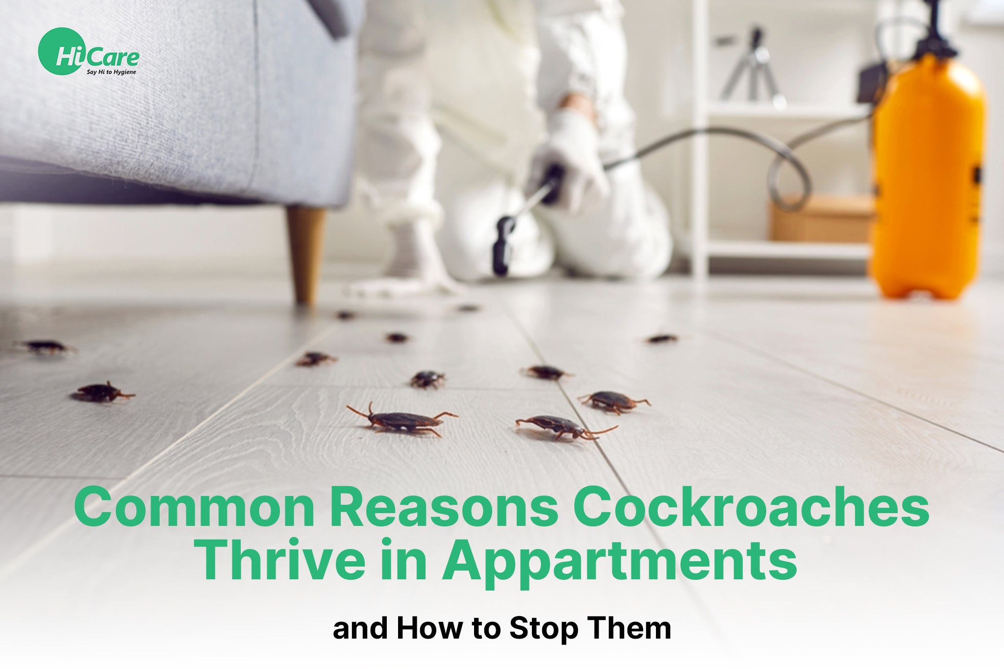 Why Cockroaches Grow in Apartments & How to Stop – HiCare (A Rentokil ...