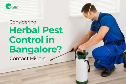 Considering Herbal Pest Control in Bangalore? Contact HiCare