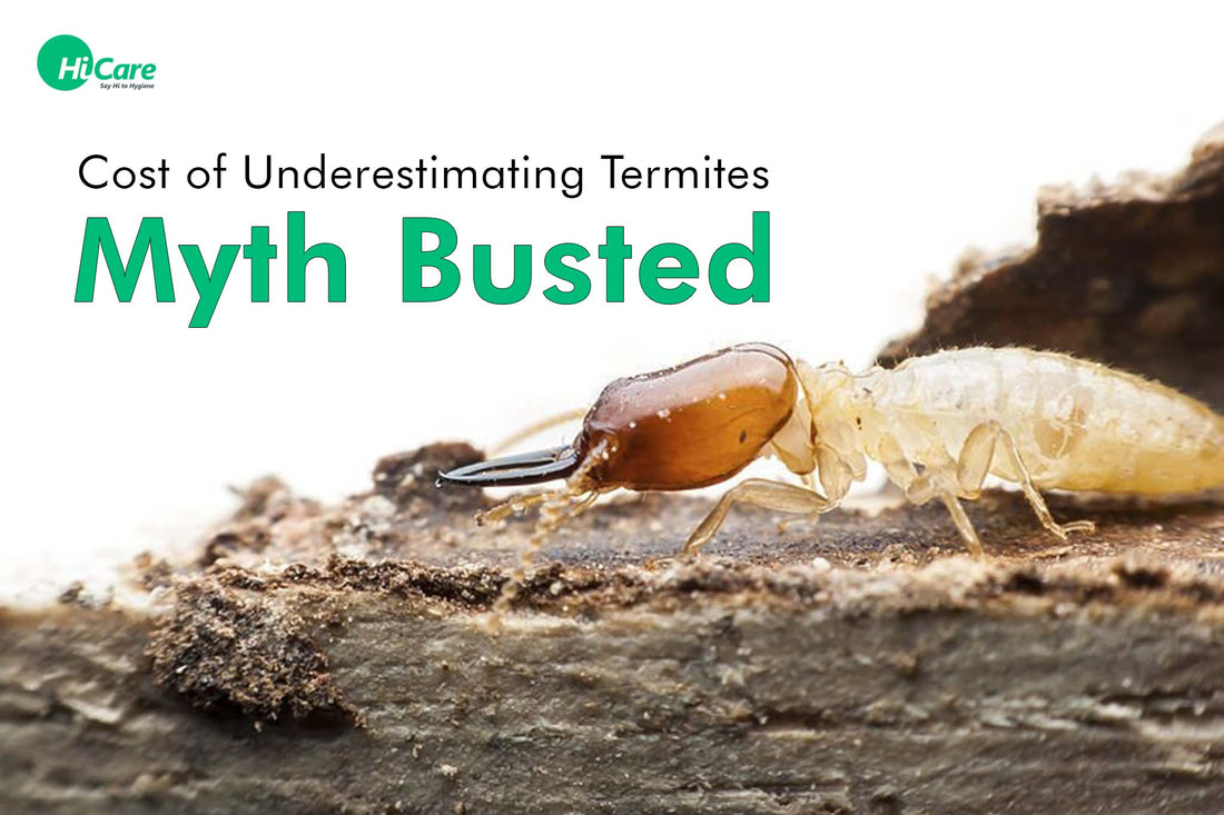 Cost of Underestimating Termites- Myth Busted