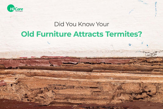 Did You Know Your Old Furniture Attracts Termites?