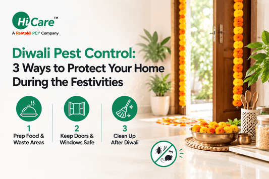 Diwali pest control - 3 ways to protect your home: prep food and waste areas, keep doors and windows saf