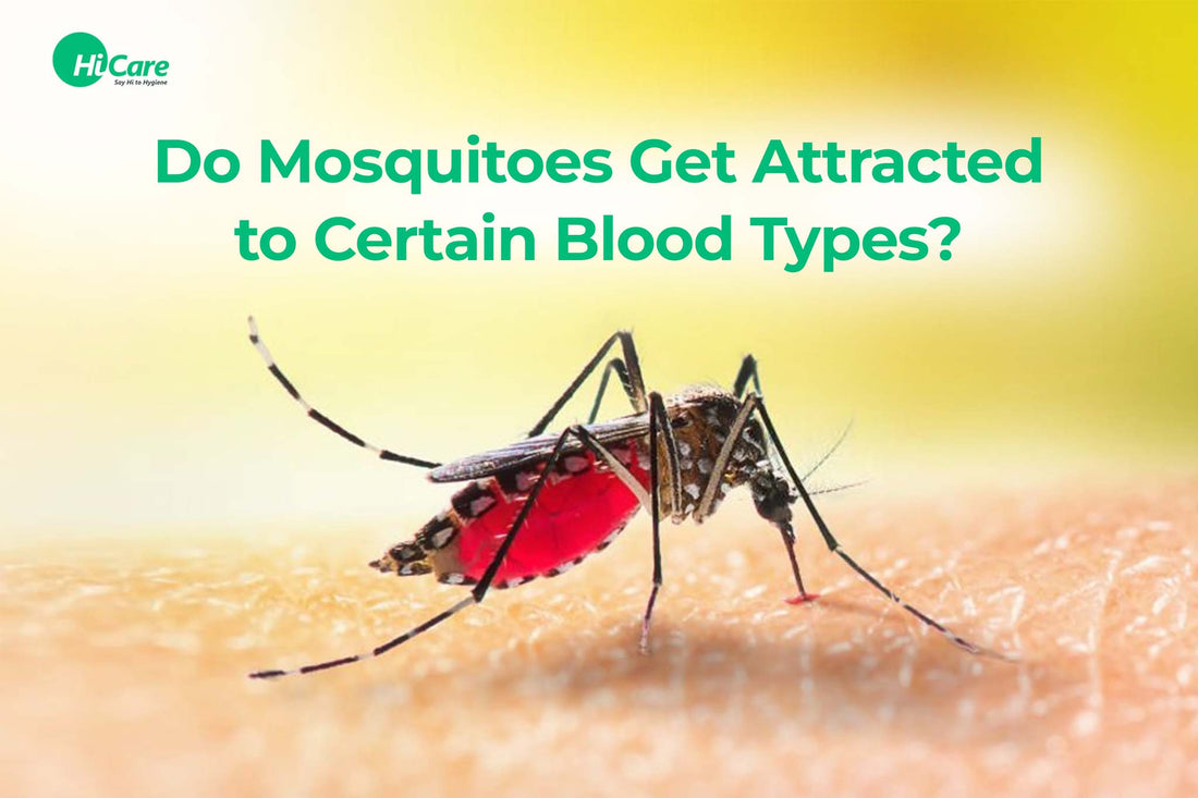 Do Mosquitoes Get Attracted to Certain Blood Types?