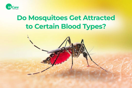 Do Mosquitoes Get Attracted to Certain Blood Types?