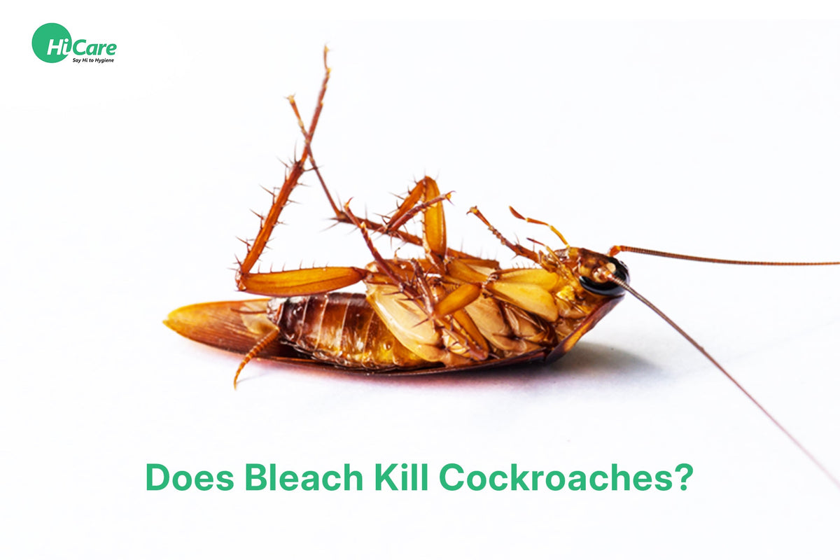 Does Bleach Kill Cockroaches - Find Out the Truth | HiCare – HiCare (A ...