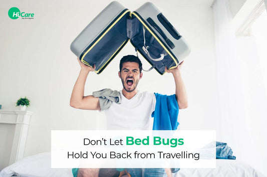 Don't Let Bed Bugs Hold You Back from Travelling