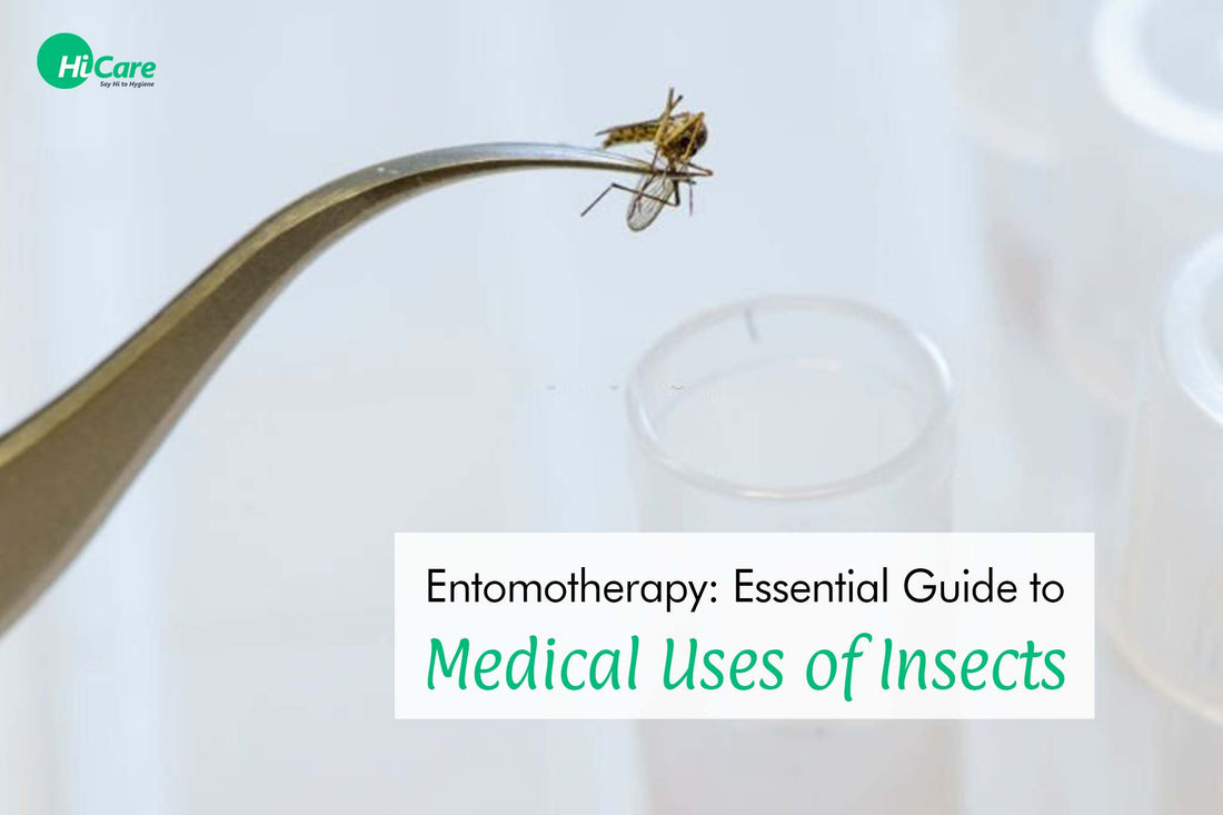 Entomotherapy: Essential Guide to Medical Uses of Insects