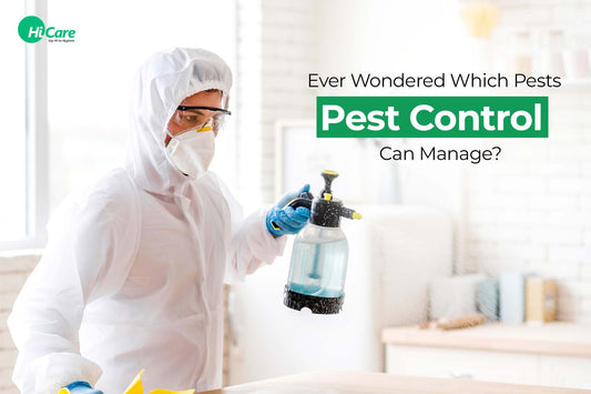Ever Wondered Which Pests 'Pest Control' Can Manage?