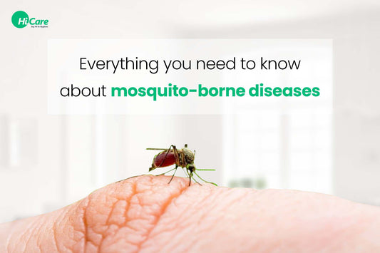 Everything you need to know about mosquito-borne diseases