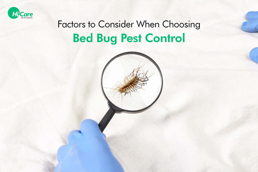 7 Factors to Consider When Choosing Bed Bug Pest Control | HiCare