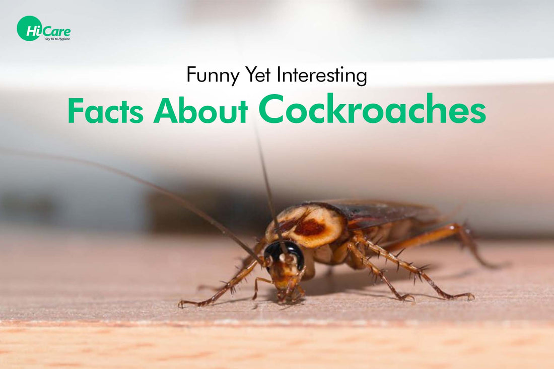 5 Funny Yet Interesting Facts About Cockroaches