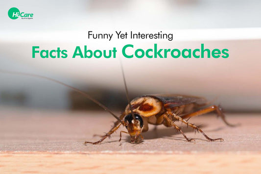 5 Funny Yet Interesting Facts About Cockroaches