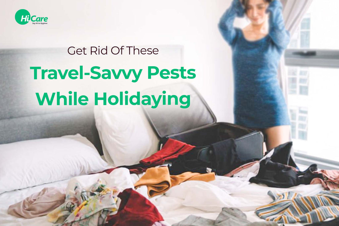Get Rid Of These Travel-Savvy Pests While Holidaying