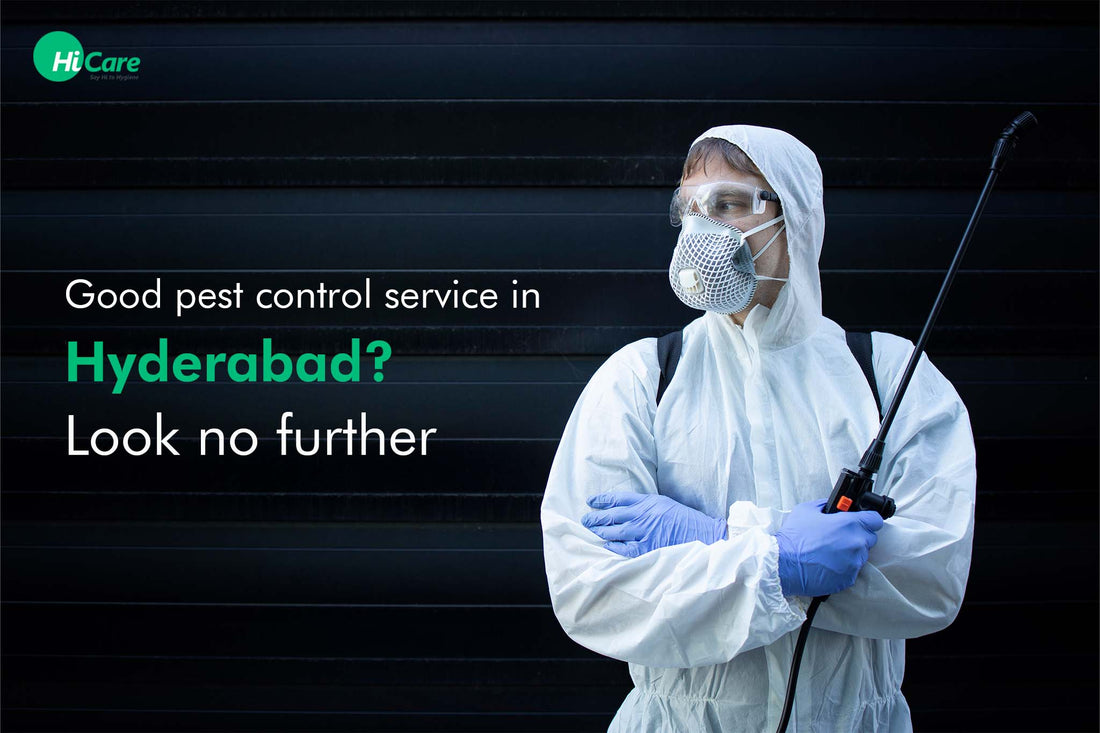 Good pest control service in Hyderabad? Look no further