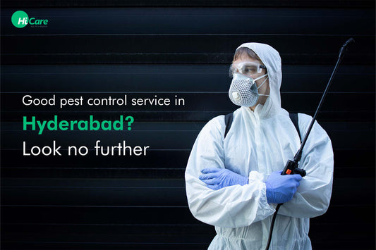 Good pest control service in Hyderabad? Look no further