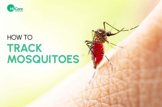 HOW TO TRACK MOSQUITOES?