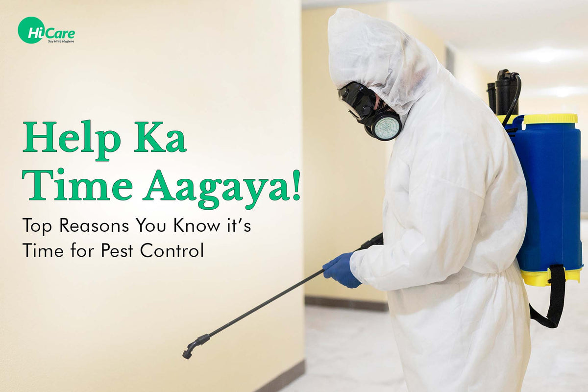 Top Signs It’s Time for Pest Control Services in Your Home Now – HiCare ...