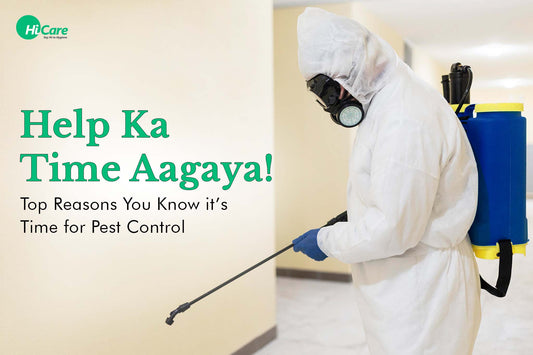 Help Ka Time Aagaya! Top Reasons You Know it's Time for Pest Control
