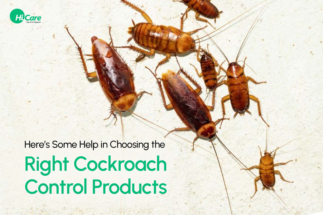 Here's Some Help in Choosing the Right Cockroach Control Products