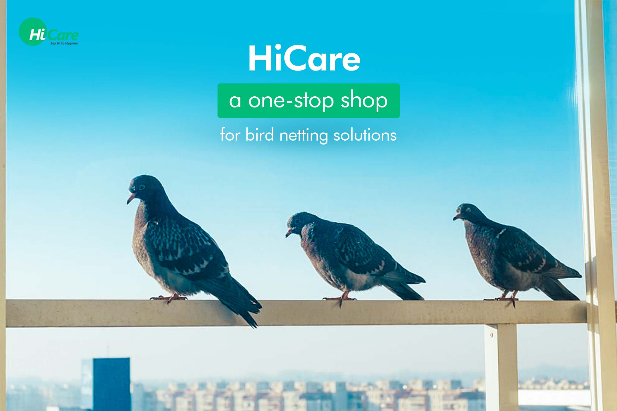 HiCare a one-stop Solution for Bird Netting Services – HiCare (A ...