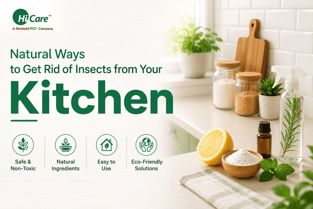 Natural kitchen pest control  featuring lemon, baking soda, and essential oils on a kitchen counter