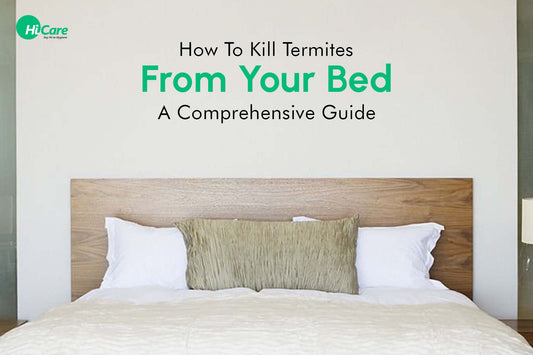How To Kill Termites From Your Bed: A Comprehensive Guide