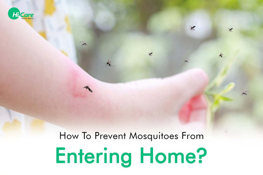 How To Prevent Mosquitoes From Entering Home?