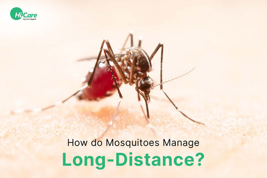 How do Mosquitoes Manage Long-Distance?