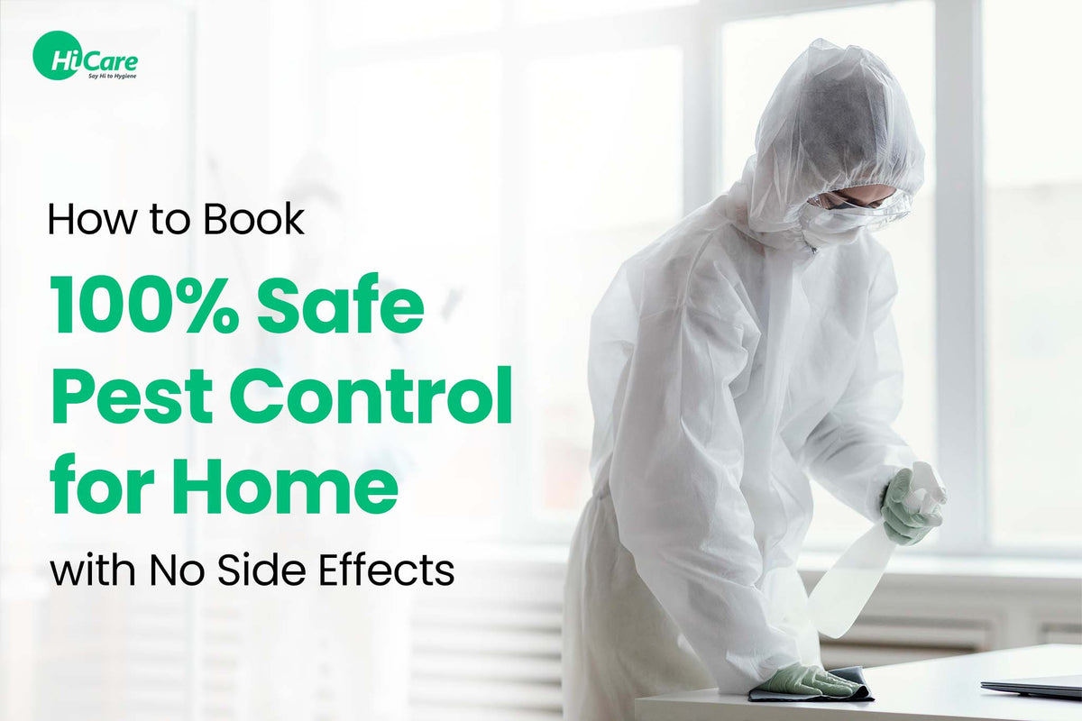 Best Ways to Book Safe Pest Control for Home with No Side Effects ...