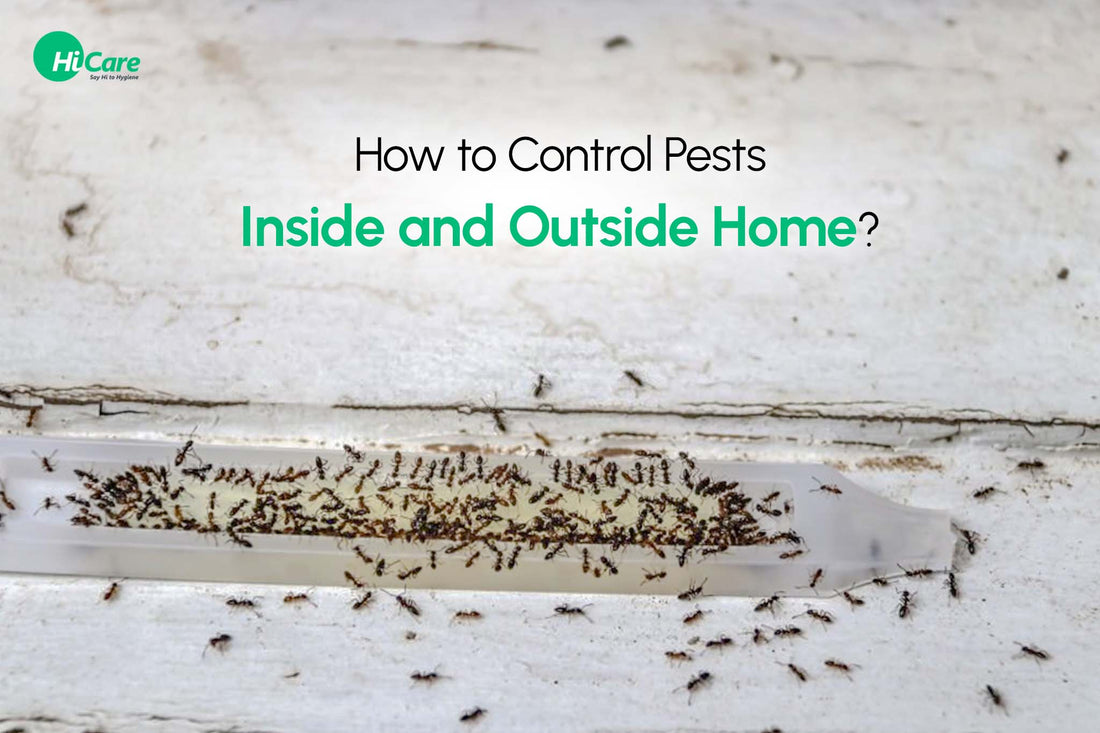 How to Control Pests Inside and Outside Home?