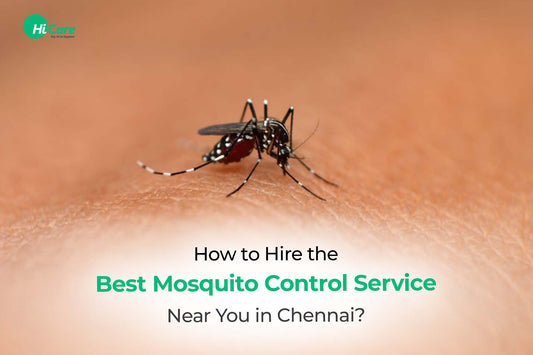How to Hire the Best Mosquito Control Service Near You in Chennai?