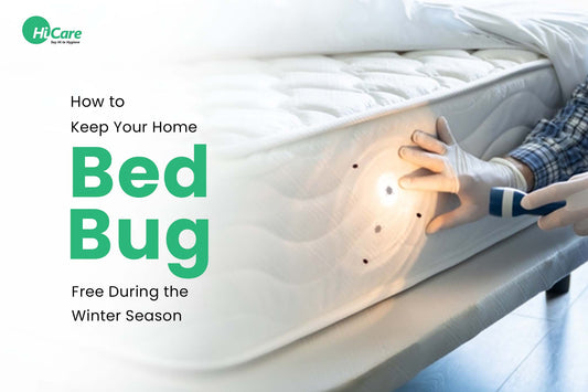 How to Keep Your Home Bed Bug-Free During the Winter Season?