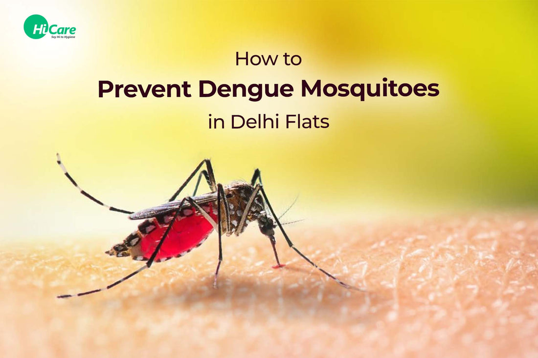 How to Prevent Dengue Mosquitoes in Delhi Flats