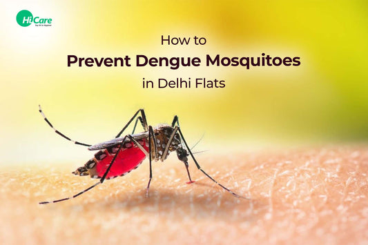 How to Prevent Dengue Mosquitoes in Delhi Flats