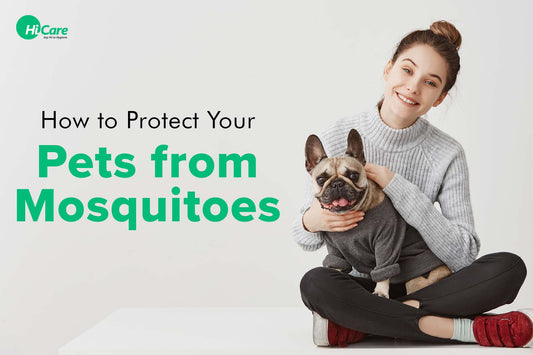 How to Protect Your Pets from Mosquitoes